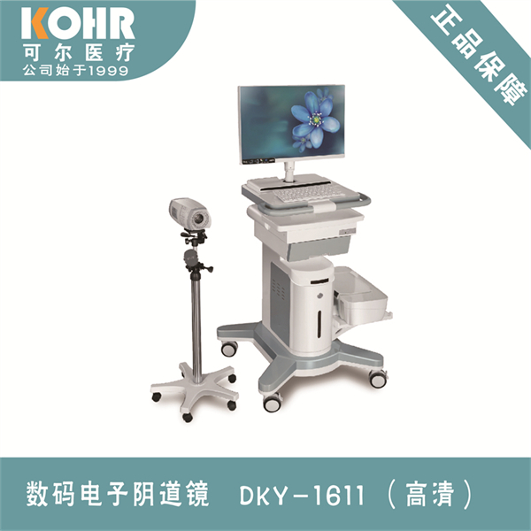 �������������,����������,�������������������Ƽ����