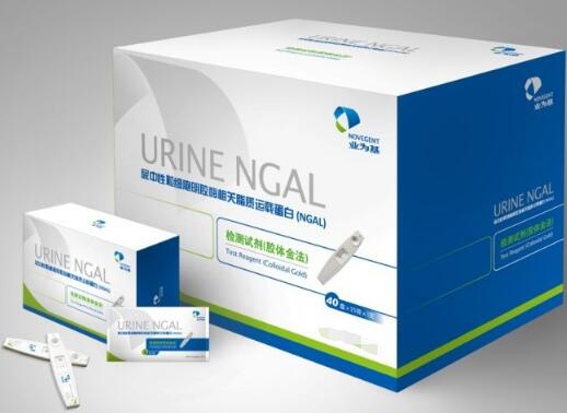��������ϸ������ø���֬�����ص��ף�NGAL������Լ�����������߲�������