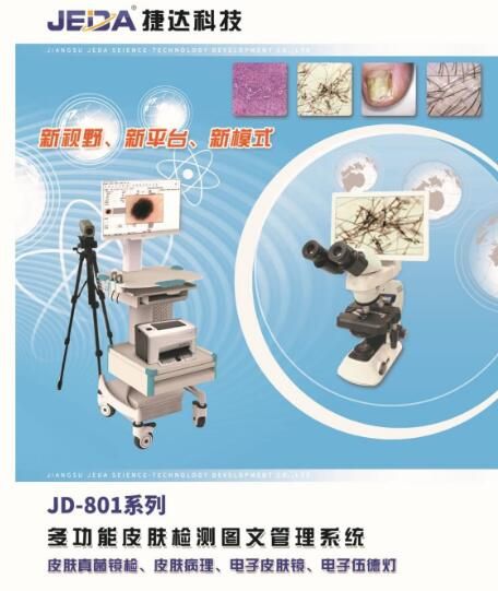 JD801�๦��Ƥ�����ͼ�Ĺ���ϵͳ��Ƥ������Ƥ�������