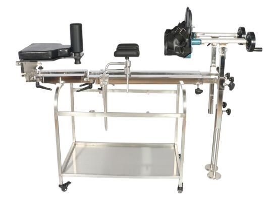 �ǿ�ǣ������֫ǣ����