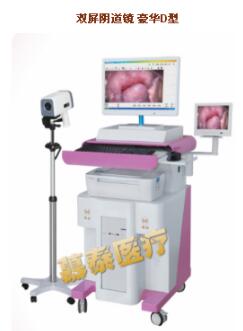 ���������������LJ-6000D�ͣ���˫���Ƴ�����ʽ��