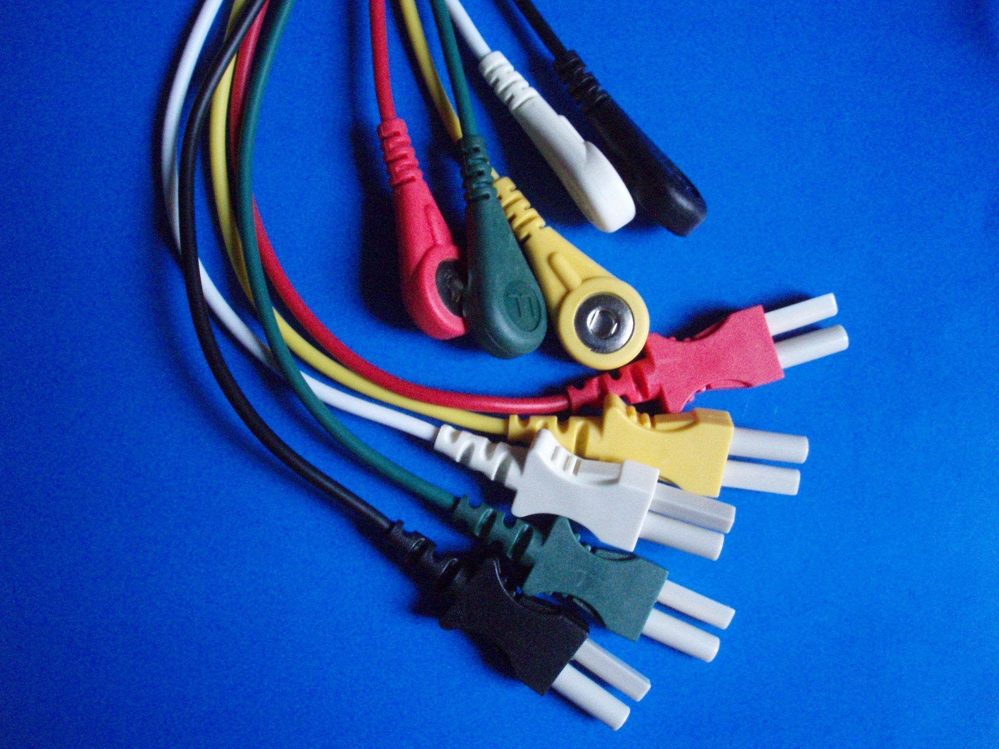 �ĵ絼����