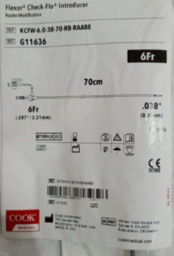 ���COOK Ѫ���� KCFW-6.0-38-70-RB-RAABE