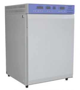 ������̼ϸ��������