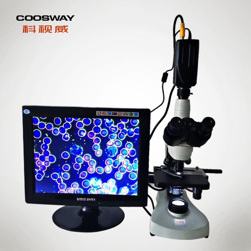 �ڱ���һ��Ѫ���  �߷ֱ���