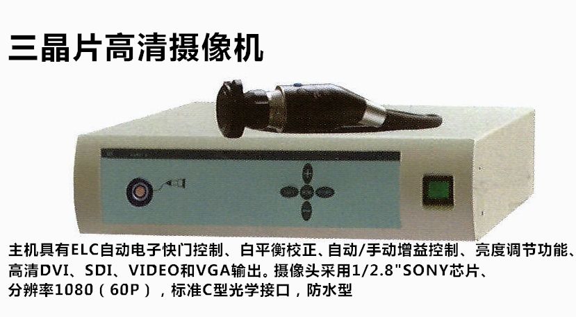 ����Ƭ�����