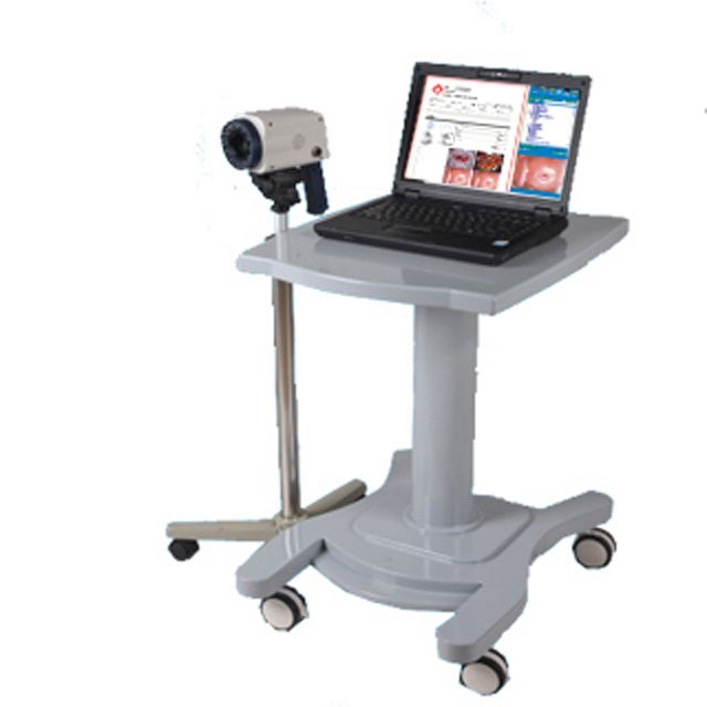 ��Яʽ����������