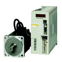 �ձ�����TSUBAKI���ٻ�