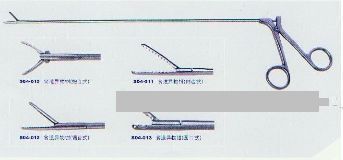 ʳ������ǯ