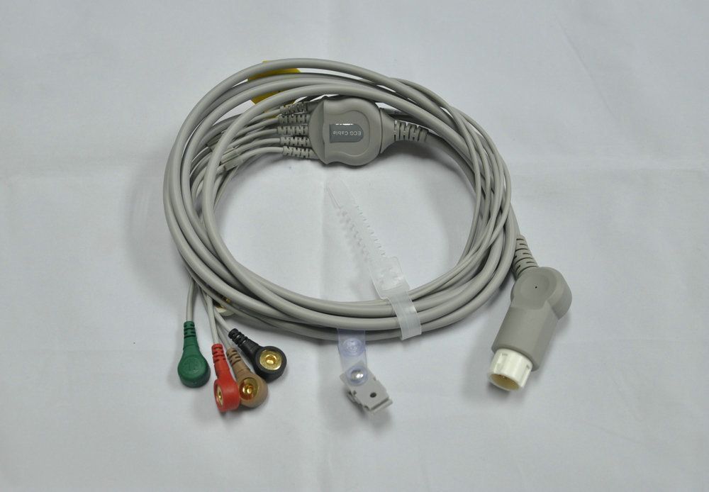 �������ĵ�һ���嵼����