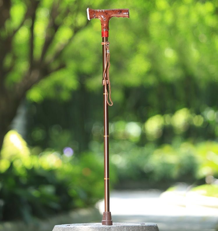 ���������۵��Ľڹ���