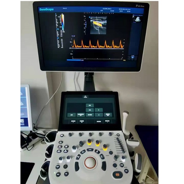 ������ɫ������ϵͳP10