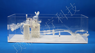 ��Ĥģ�ͣ�TAVR��