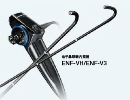 ���ְ�˹���ӱ��ʺ�������ά��ٿ��ھ�������