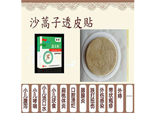ɳ����͸Ƥ������ oem���Ƽӹ� �ֻ���������