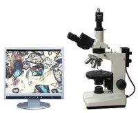 ����ƫ����΢��