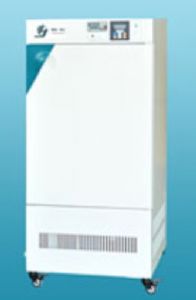 ���º�ʪ������