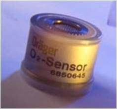 �¶��������