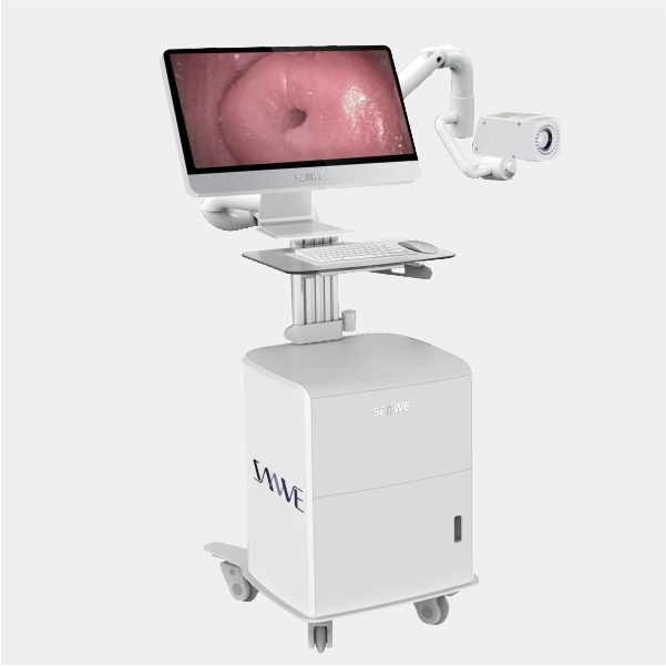 �������������SW-3305����