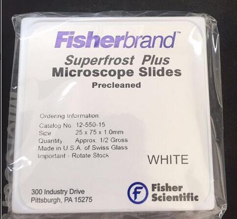 Fisher������ ���� ճ���ز�Ƭ 12-550-15 72Ƭ/�� �����ز�Ƭ