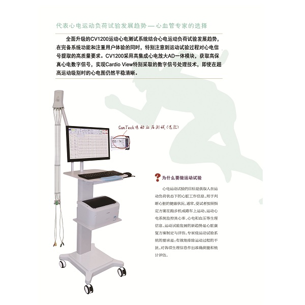 ʮ�������ĵ��˶�ƽ��