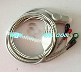 �ĵ絼����