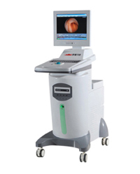 �����ھ�