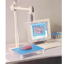 ����걾����ϵͳ