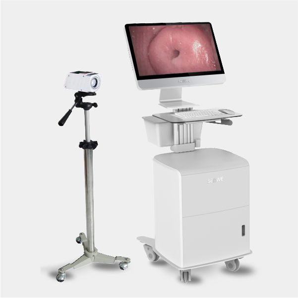 �������������SW-3304