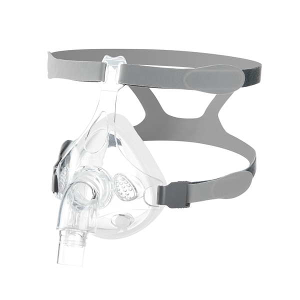 �������ڱ�����/����ֹ���ڱ�����