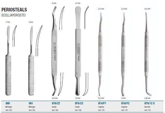 MEDESY��Ĥ������