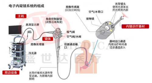 290�߶�ϵ��θ�������ְ�˹��Ӫ����