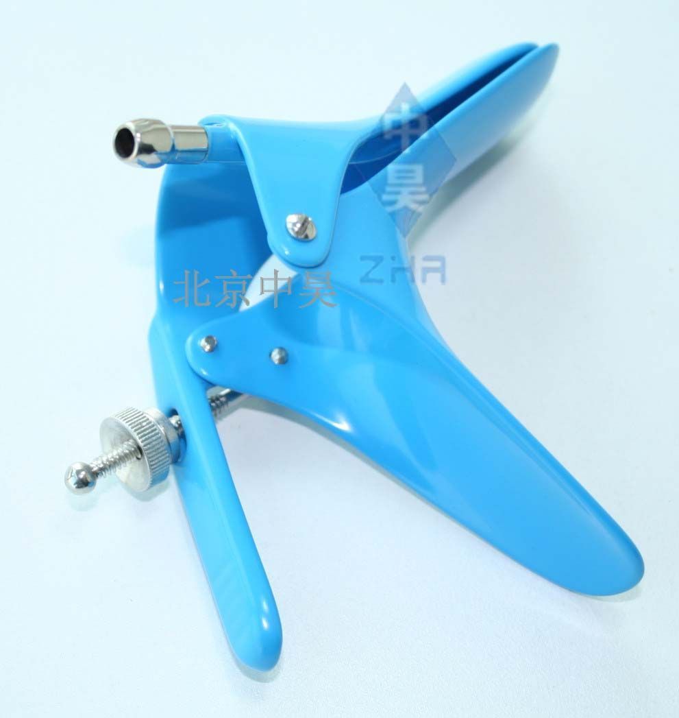 ��Ե���̵���������