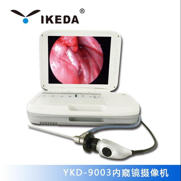 �����ڿ��������