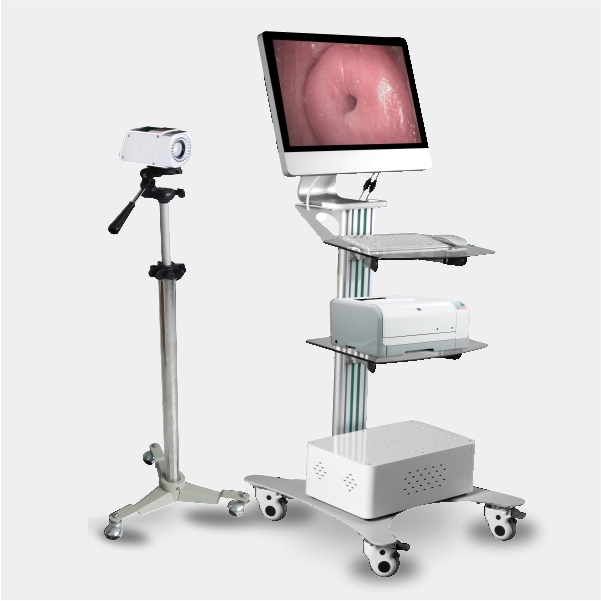 �������������SW-3303