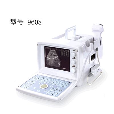 ��ЯʽB�������