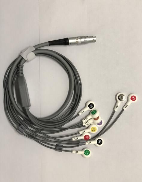 ��Ī���ĵ絼����,holterʮ������̬�ĵ���