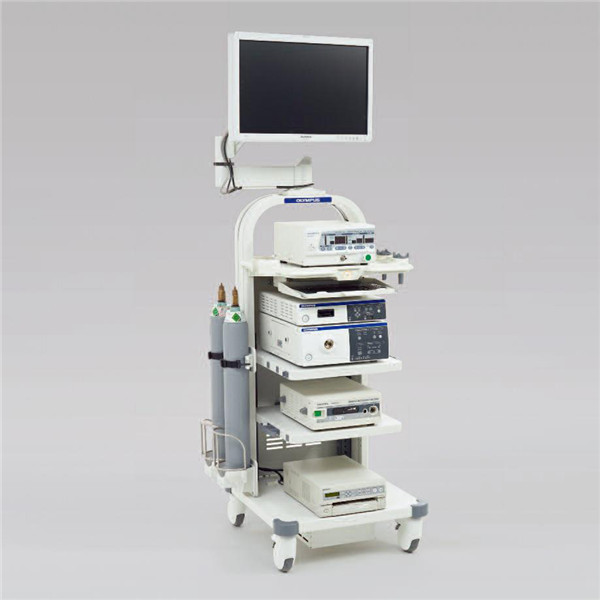 ȫ����Ӫ���ְ�˹��ǻ�����ƿ����ھ�