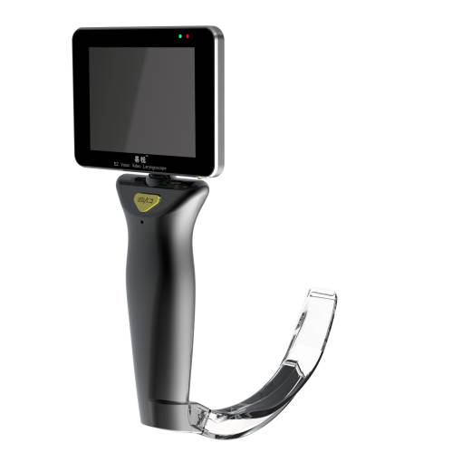 ������Ƶ����