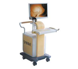 ���ټ����