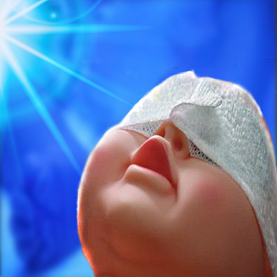 ����������/������Ʊ�������