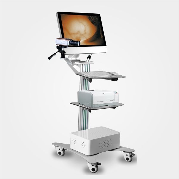 �������ټ����