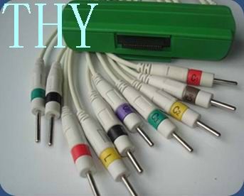 �ձ����ʮ��������