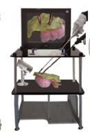 ��ǻ������ѵ���估ϵ��ģ��