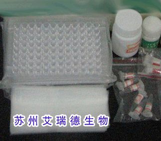 ����������IgG�������Լ��У�ø�����߷���