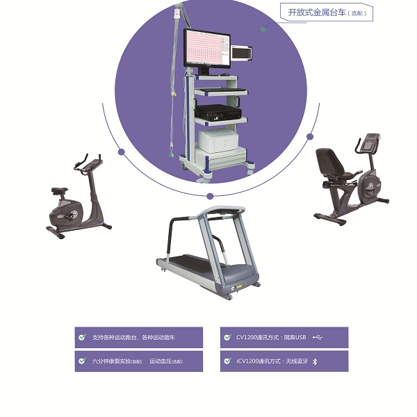 ʮ�������ĵ����ϵͳ