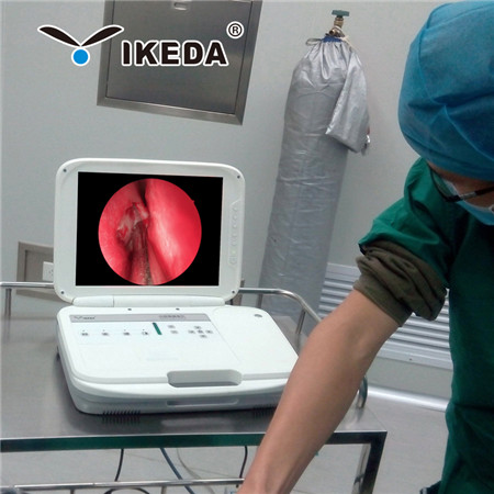 �ۿ��ڿ��������