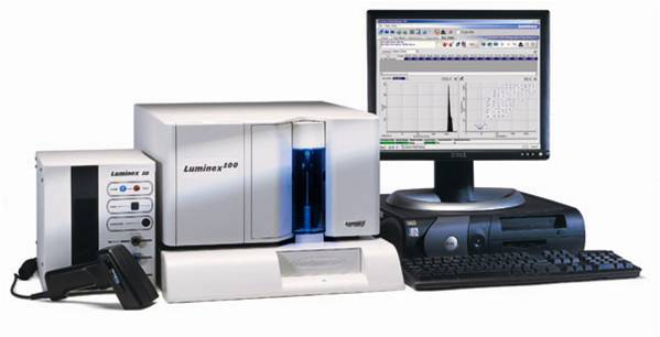 ��ʽ������