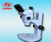 ������΢��