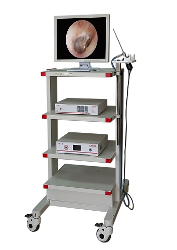 ��Ƥ����